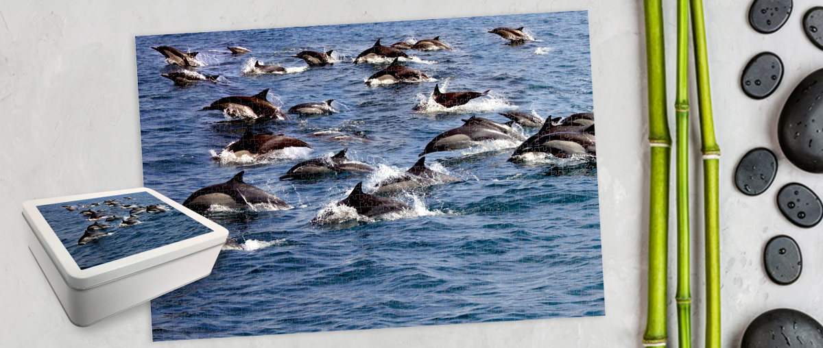 1000 Piece Puzzles with Storage Tin